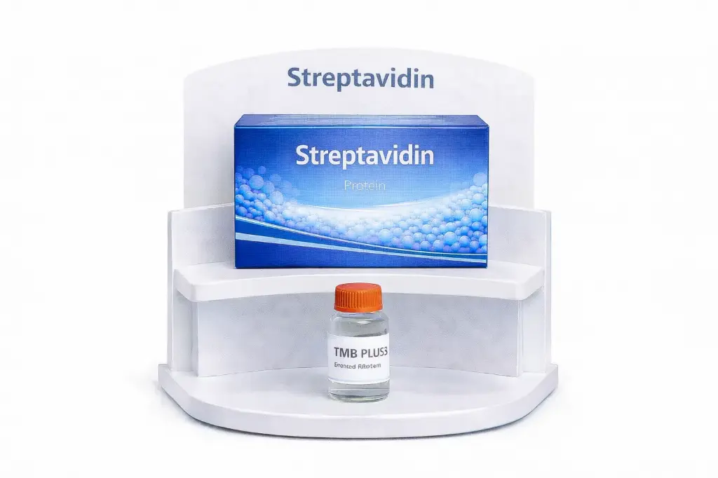 Streptavidin