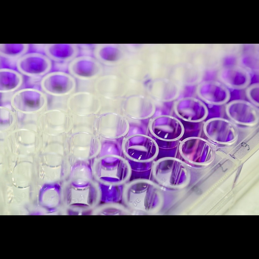 Glyphosate ELISA Plate and Derivatization Kitsize: 96 Tests