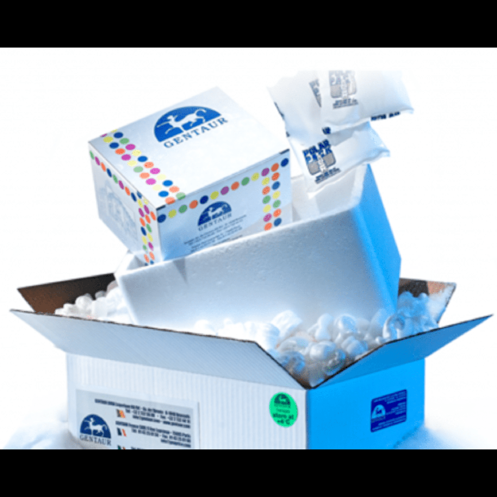 Human BTKsize:C481S Stable Cell Line size: BaF3 size: One Frozen vial