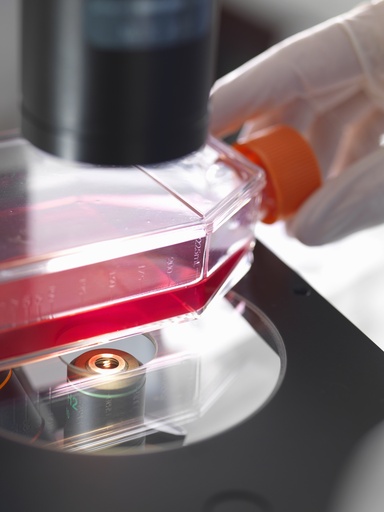 [ASTPLATE-SA2-132] Red Fluorescent Immortalized Human Tenocytes